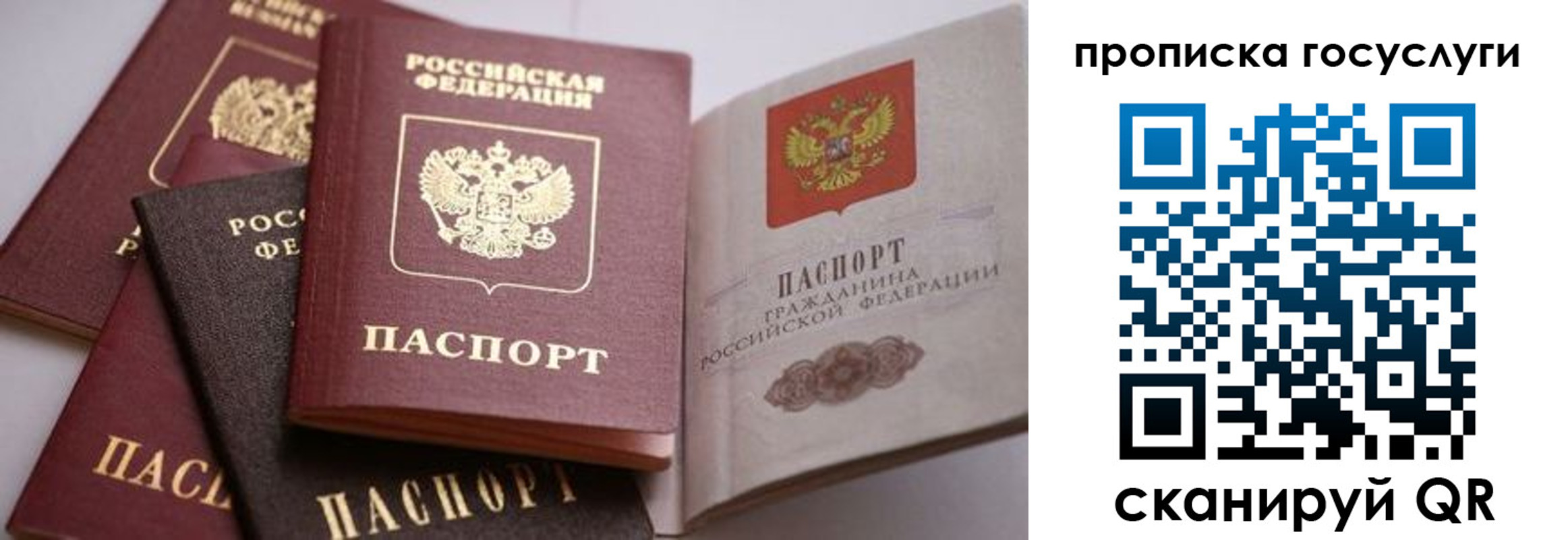 прописка иностранных граждан в Шуе